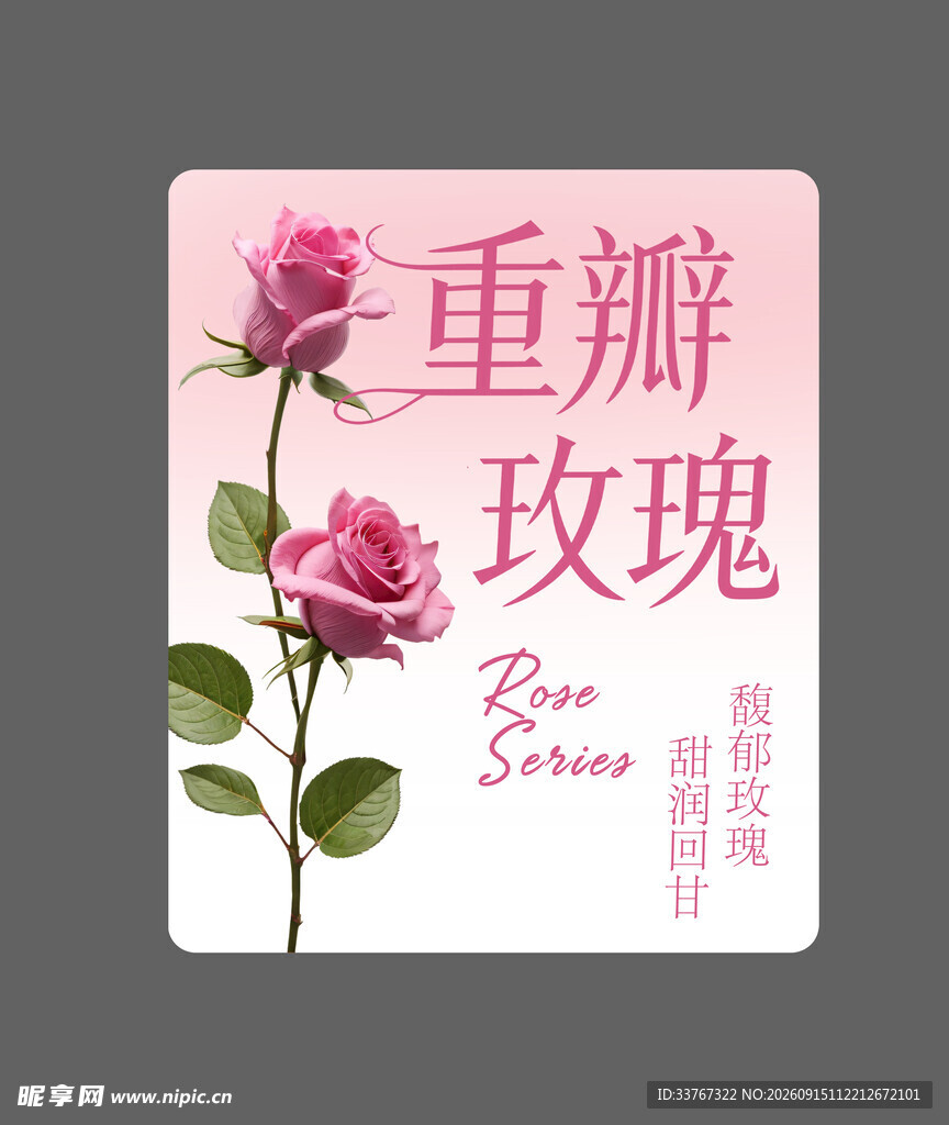 重瓣玫瑰奶茶贴纸