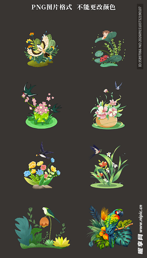 花鸟素材