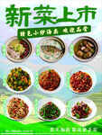 新菜上市