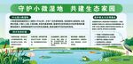 守护小微湿地 共建美好家园