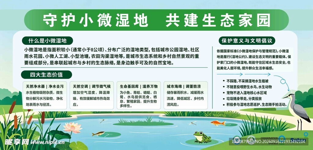 守护小微湿地 共建美好家园