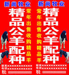 公羊配种
