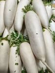 新鲜白萝卜堆叠展示