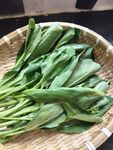 竹篮中的鲜嫩芥兰