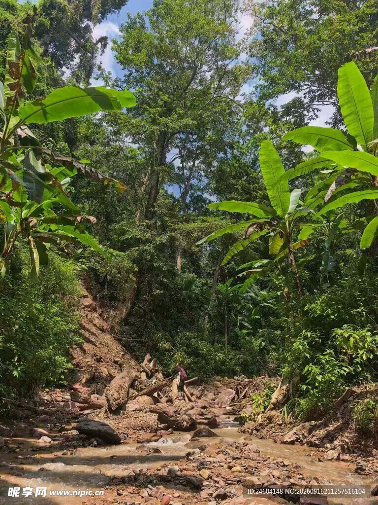 泥泞山间小道绿植环绕
