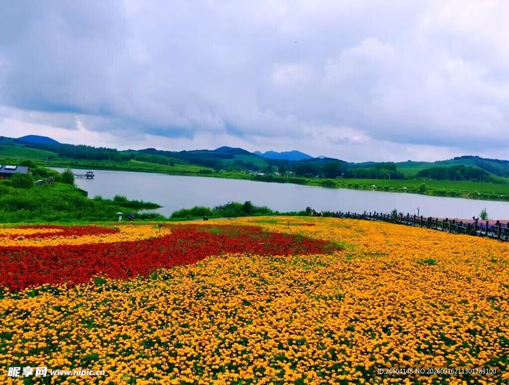 湖畔花海美景