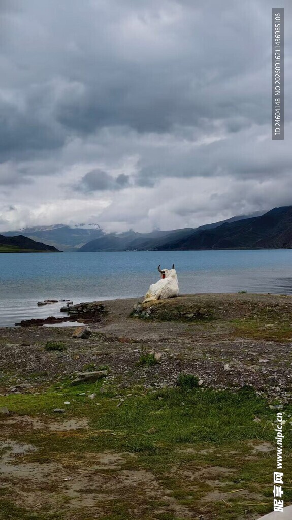 海边孤景阴云下的宁静