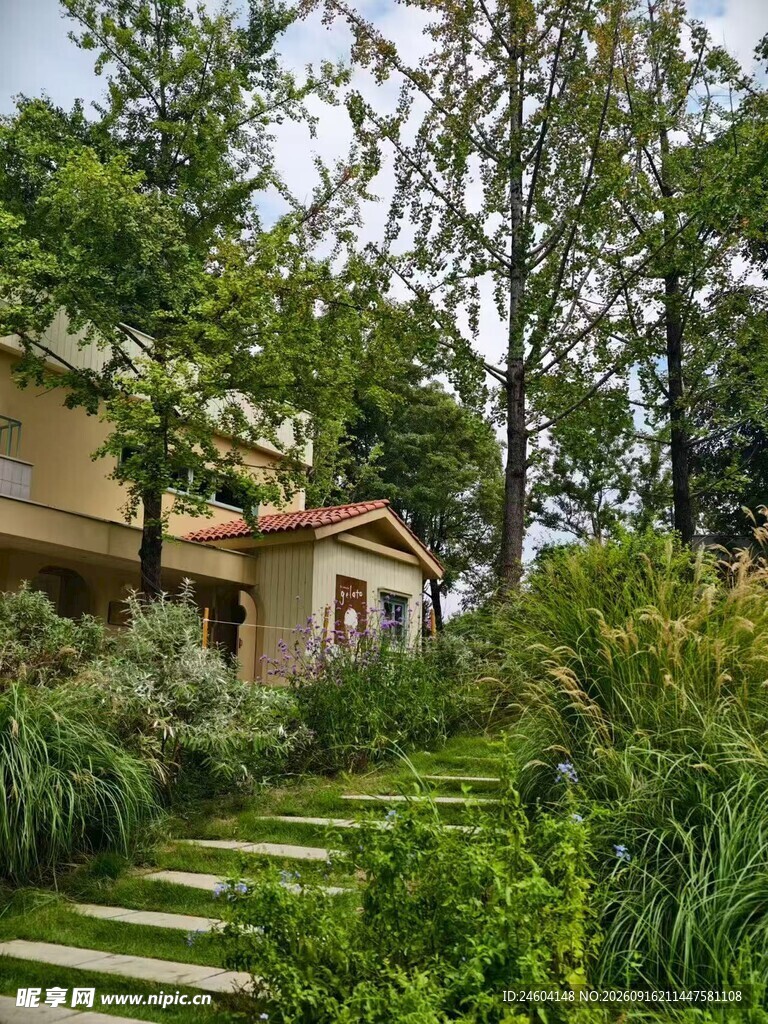 林间小屋旁的绿意阶梯