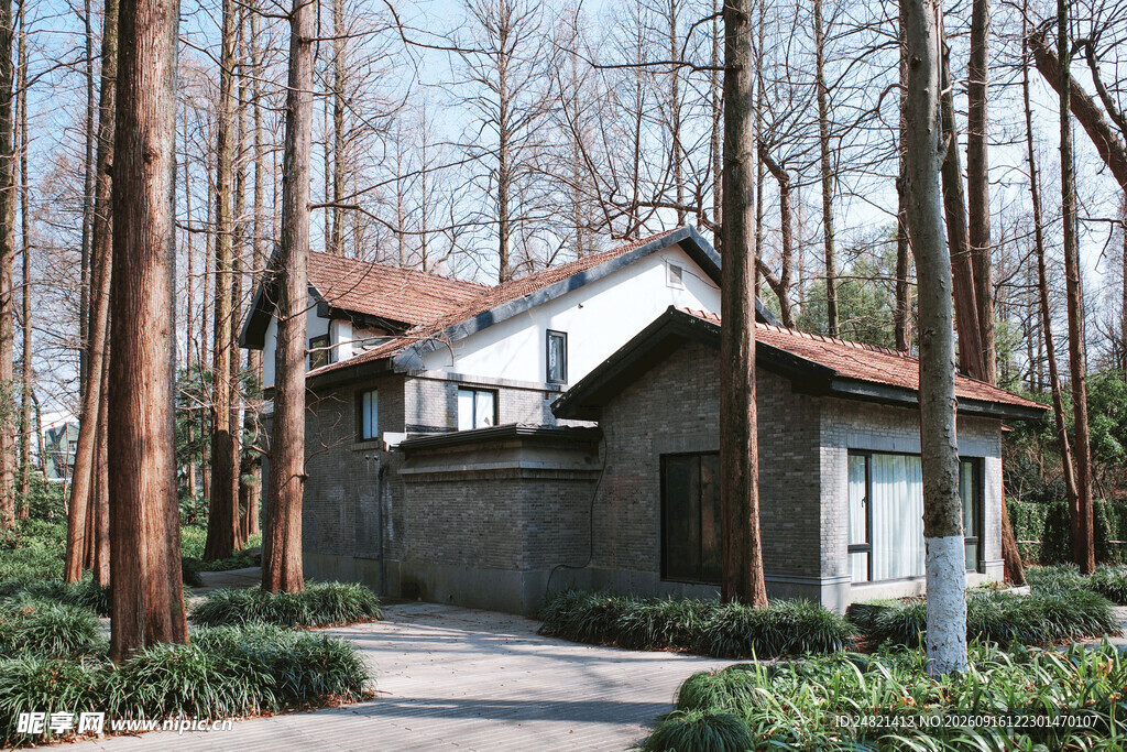 林间小屋
