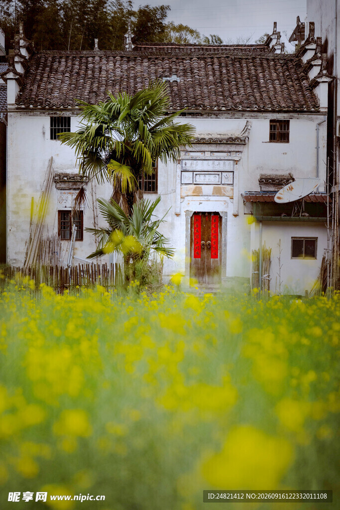 春日乡村白墙红门油菜花景
