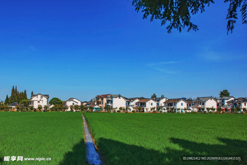 田园旁的美丽住宅群落