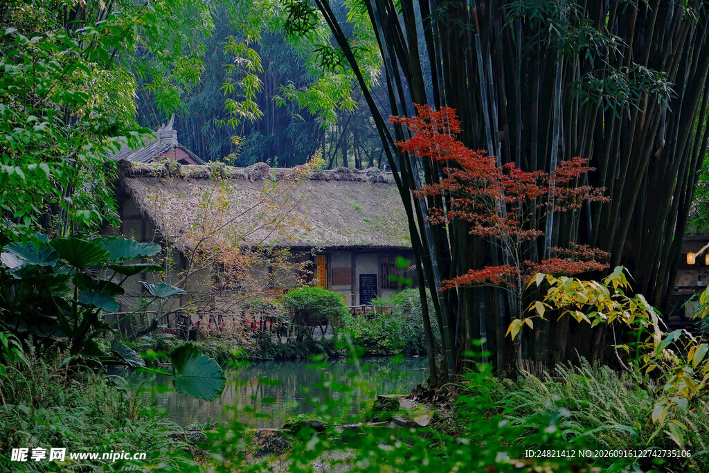 竹林中的古朴小屋