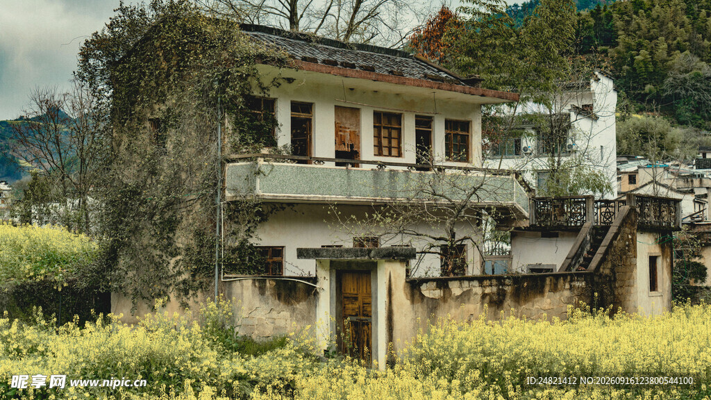 荒废老屋静立田野间