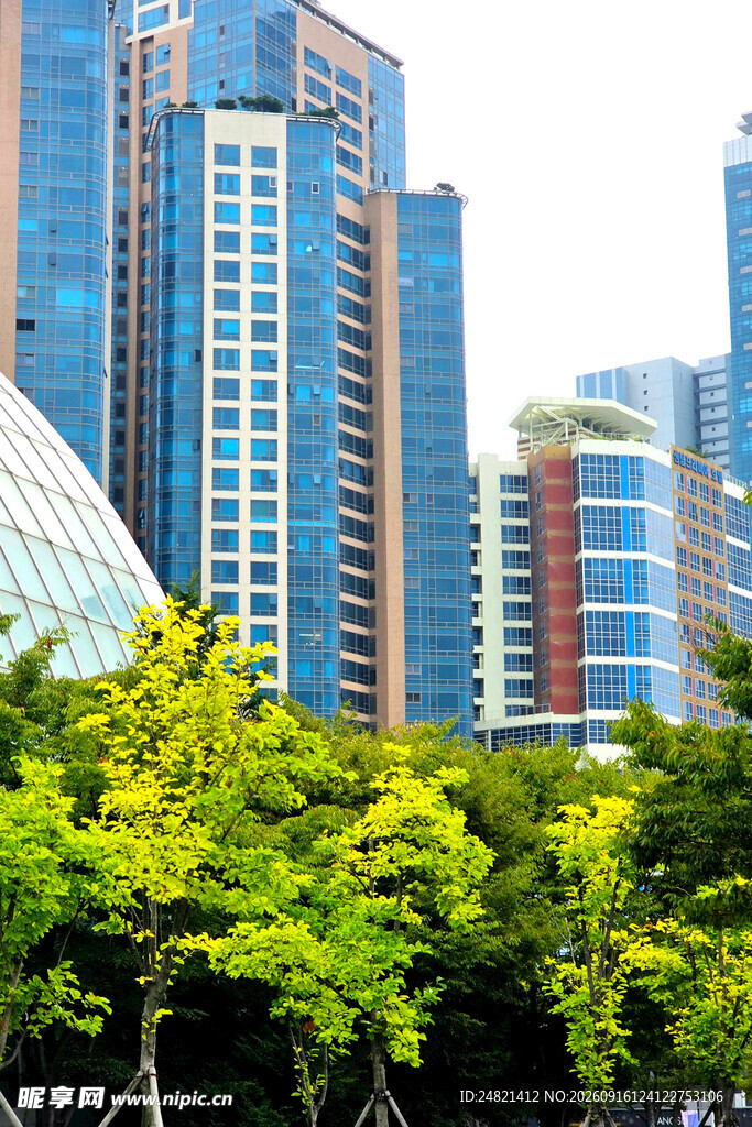 城市高楼与葱郁绿树景观