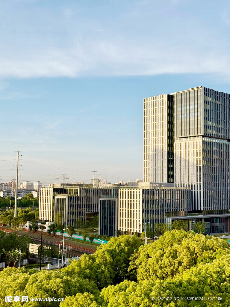 城市中高楼与葱郁绿树景观
