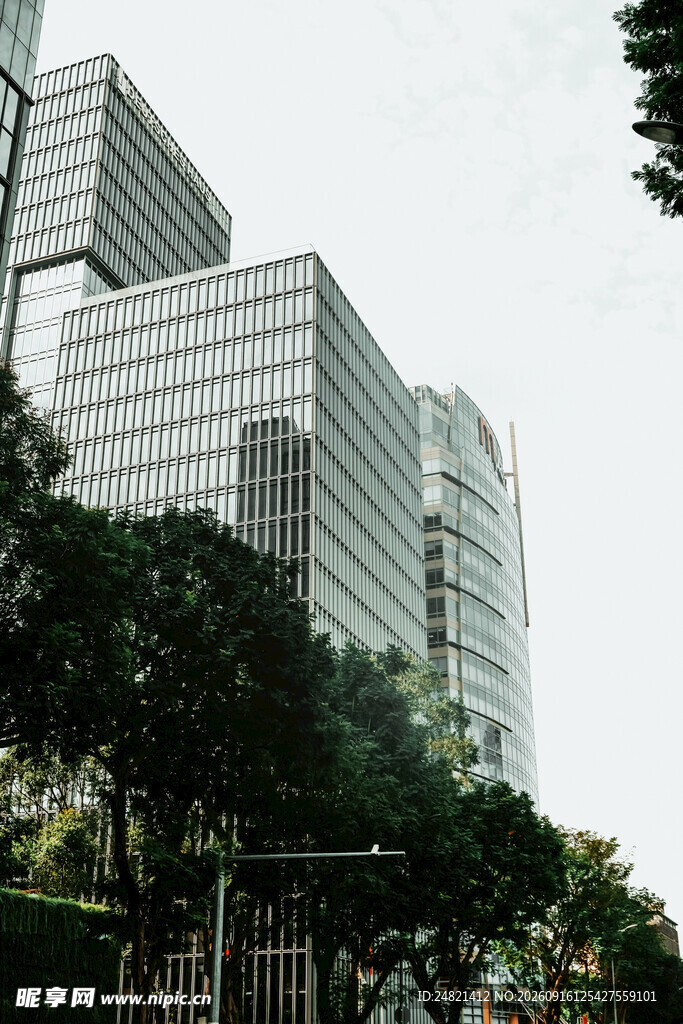 现代高楼与周边绿植景观