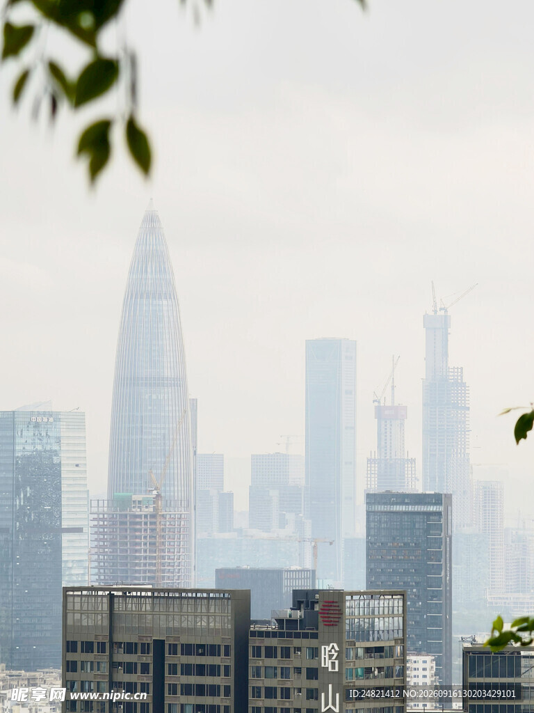 雾中都市高楼景观