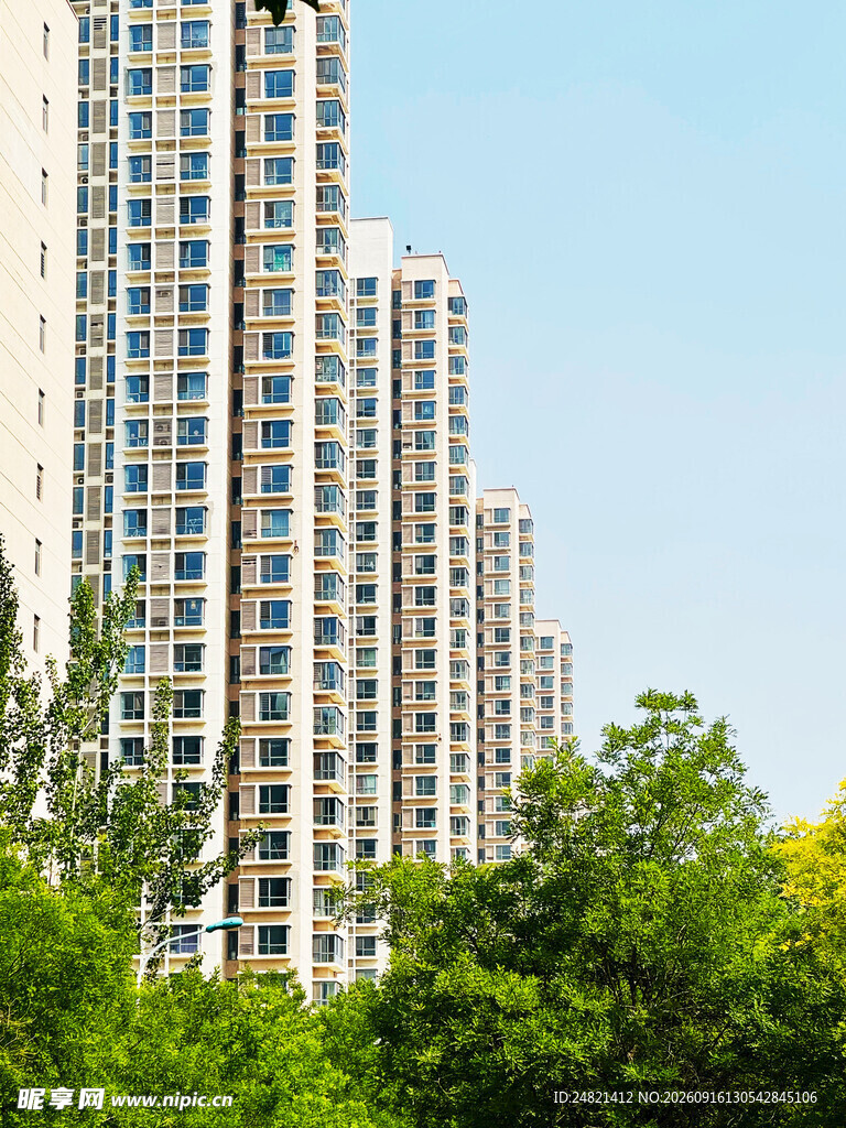 高楼林立的城市绿化景观