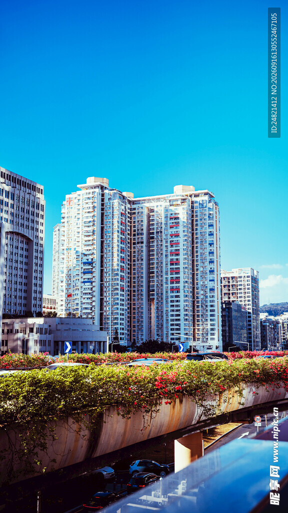 河畔高楼林立的城市美景