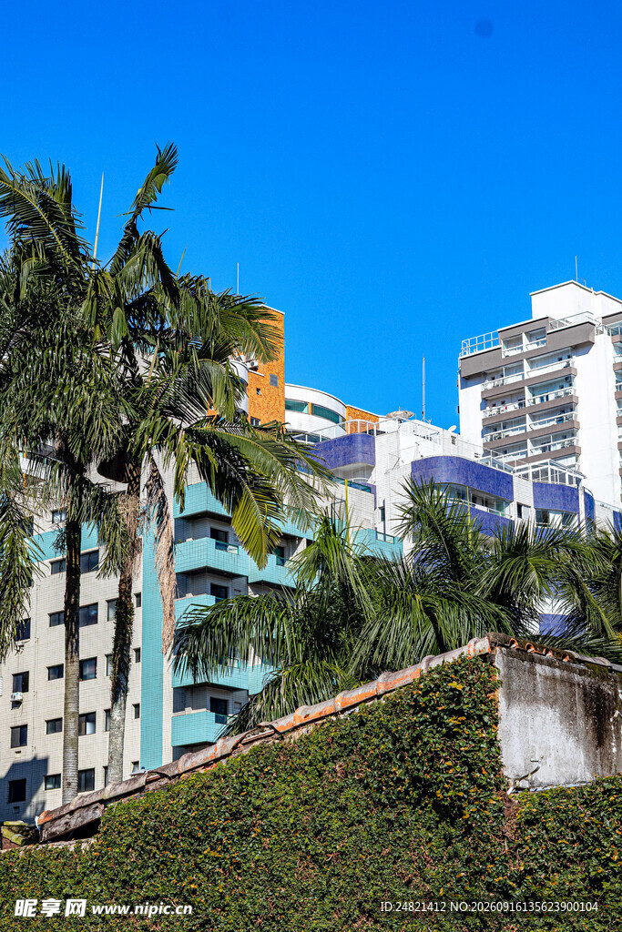 城市中葱郁绿植与建筑景观
