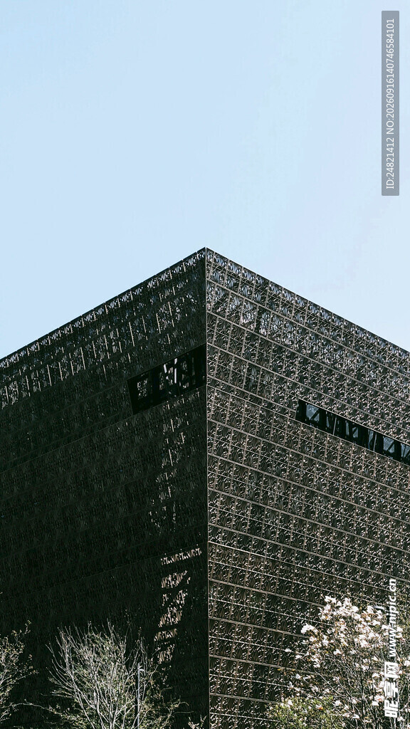 现代风格黑色建筑外观