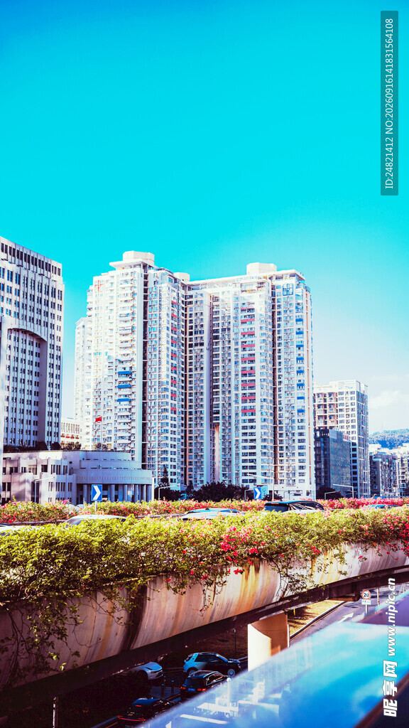 河畔高楼林立的城市风光