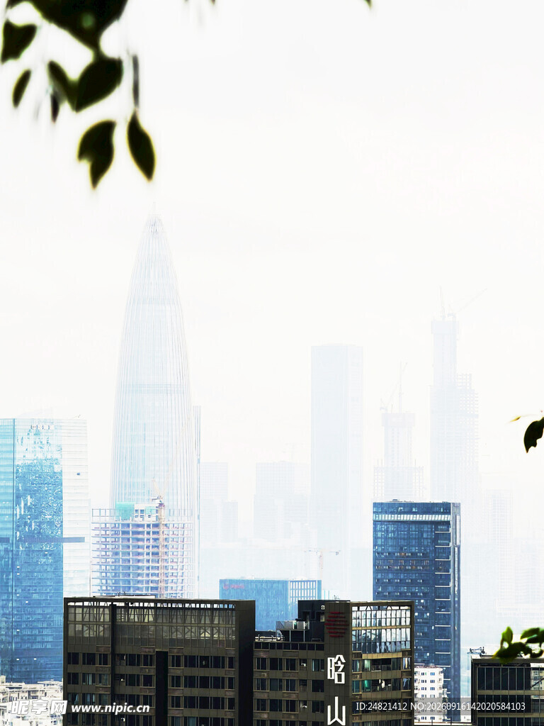 城市天际线与绿植景观