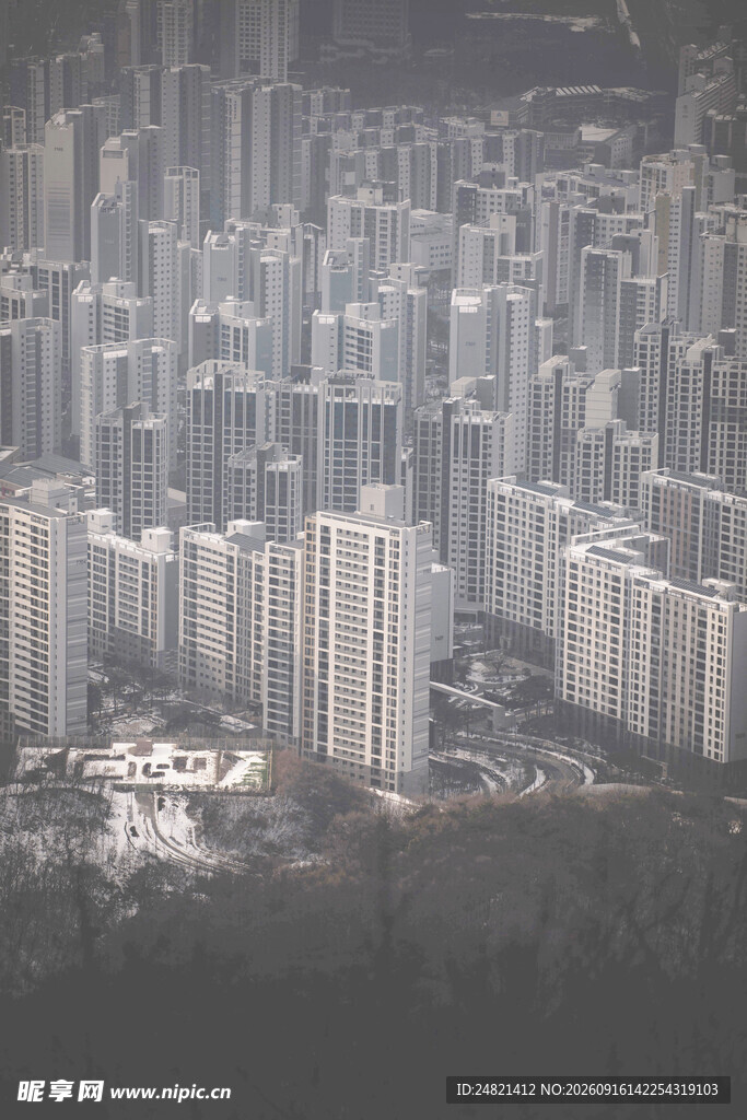 雾中林立的城市建筑群