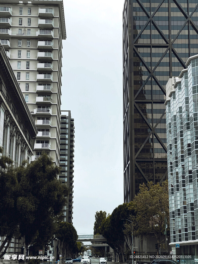 城市街道旁的高楼景观