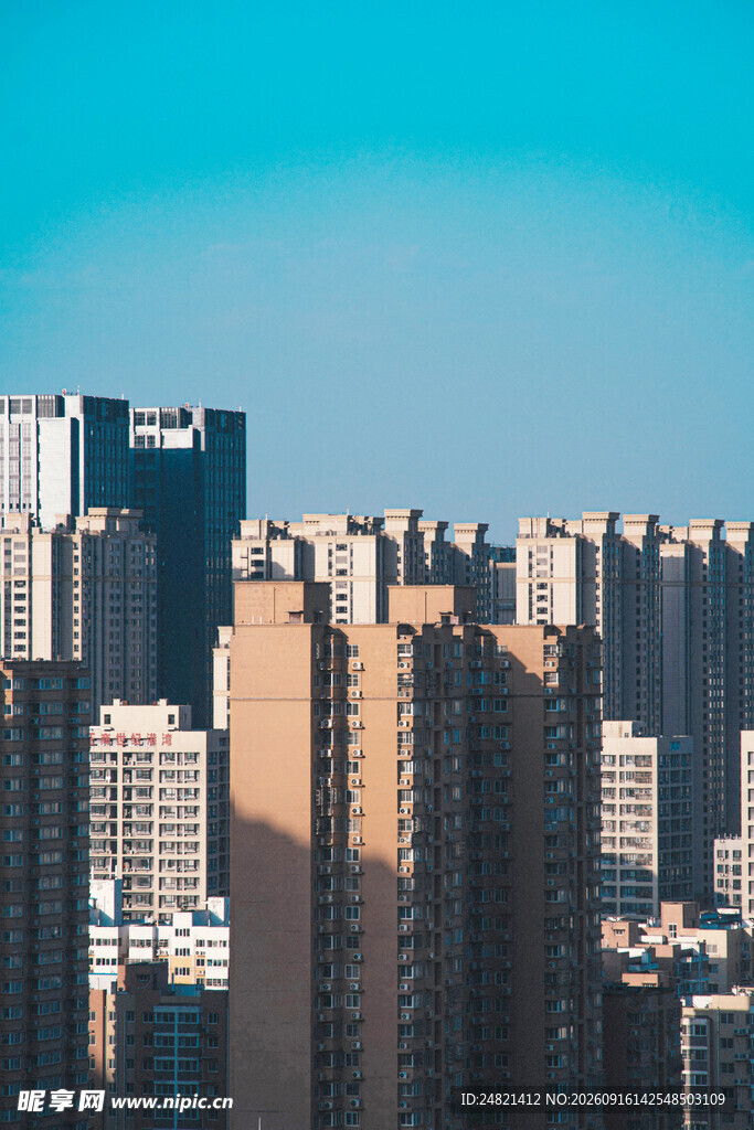 城市高楼群景观