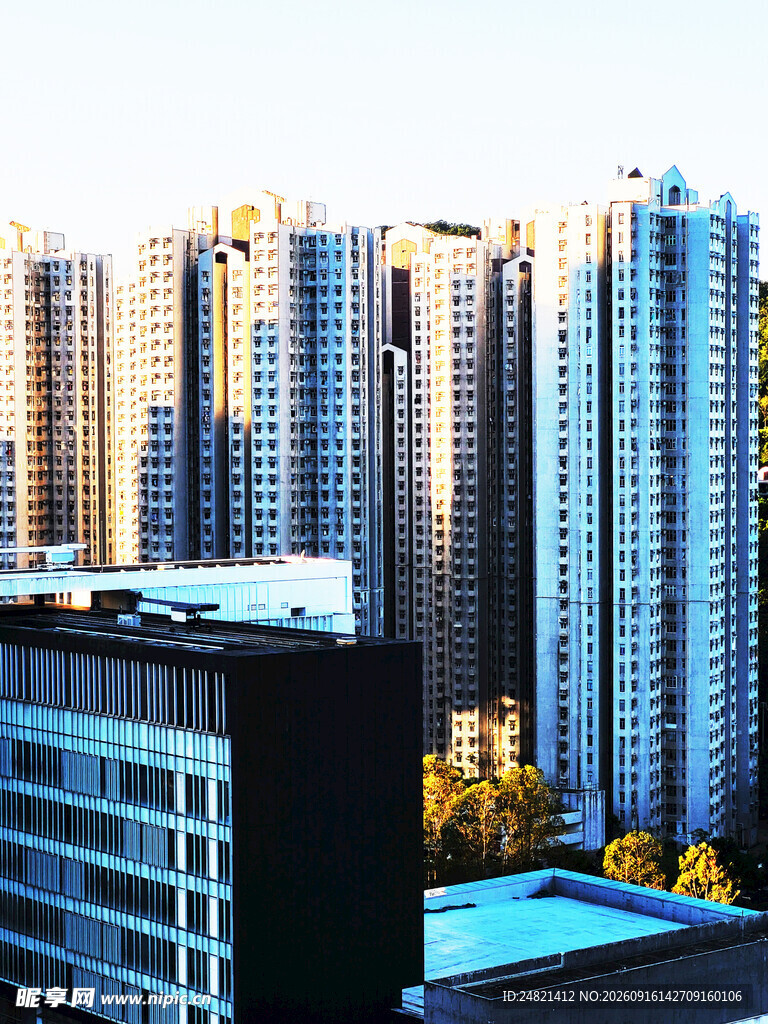 城市高楼景观