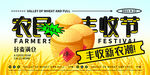  农民丰收节