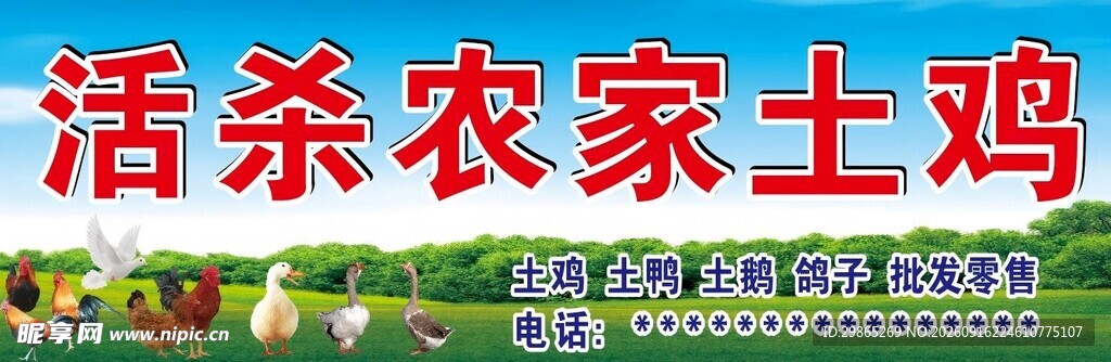 活杀农家土鸡现宰现发