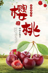 新鲜樱桃