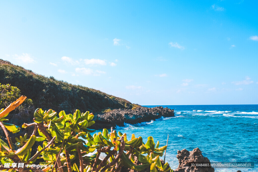 海岸边的绿植与蔚蓝大海