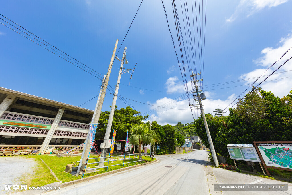 乡村道路旁的架空电线景观