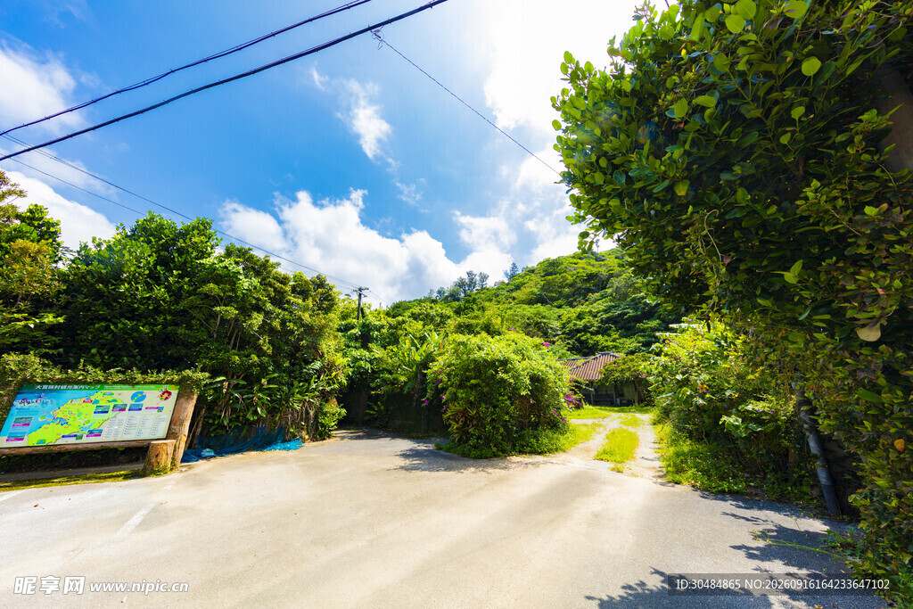 乡村林间小路
