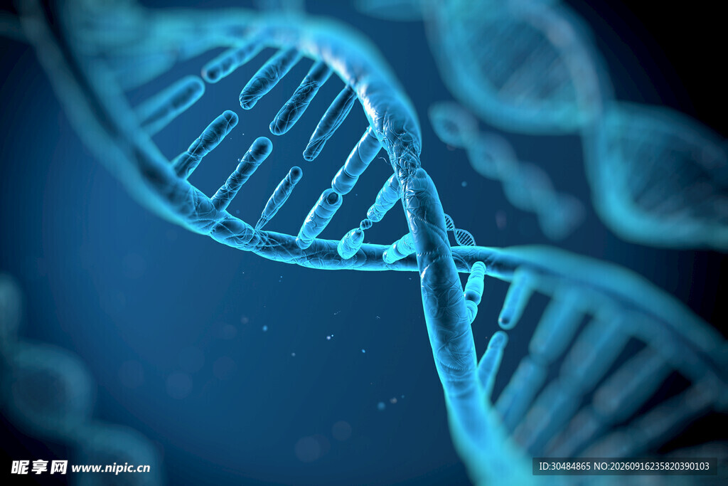 双螺旋DNA分子结构特写