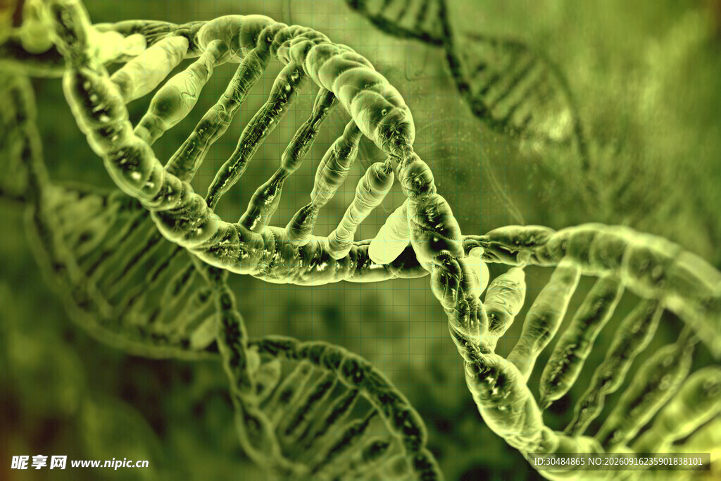 双螺旋DNA分子结构特写