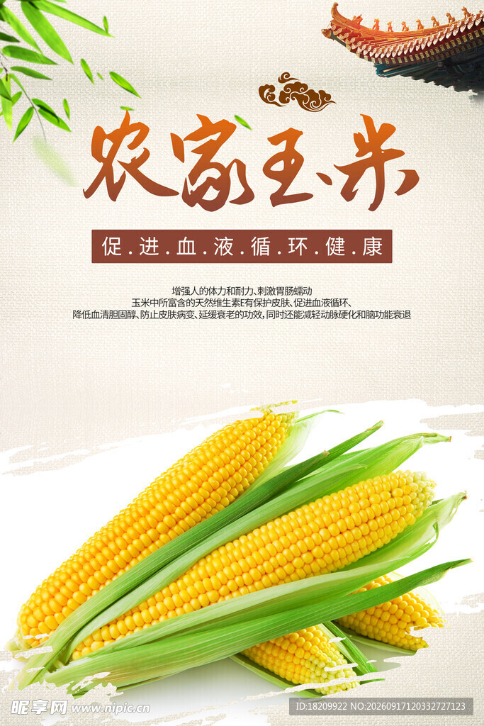 玉米