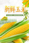 玉米