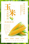 玉米