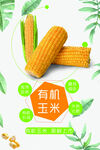 玉米