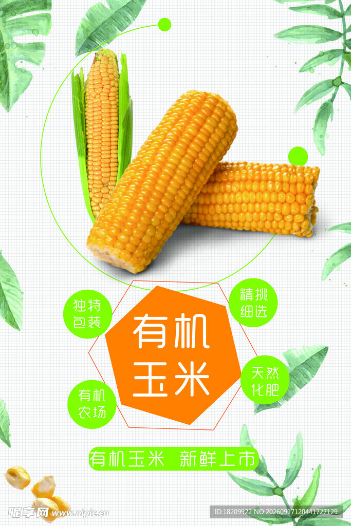 玉米