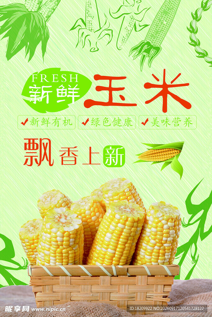玉米