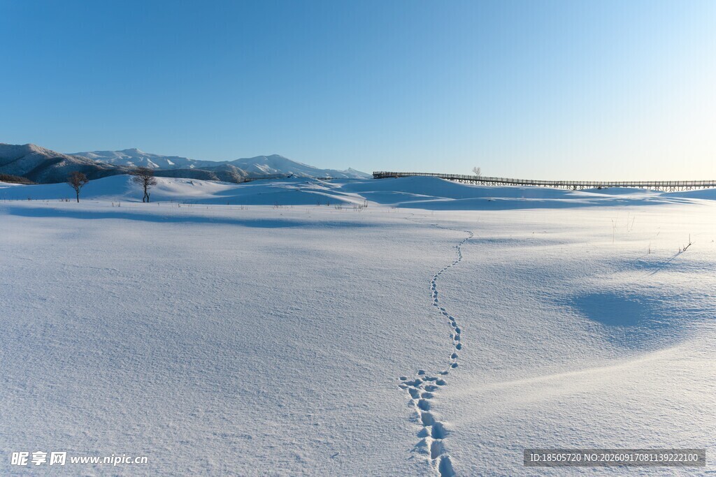 冬日旷野之景