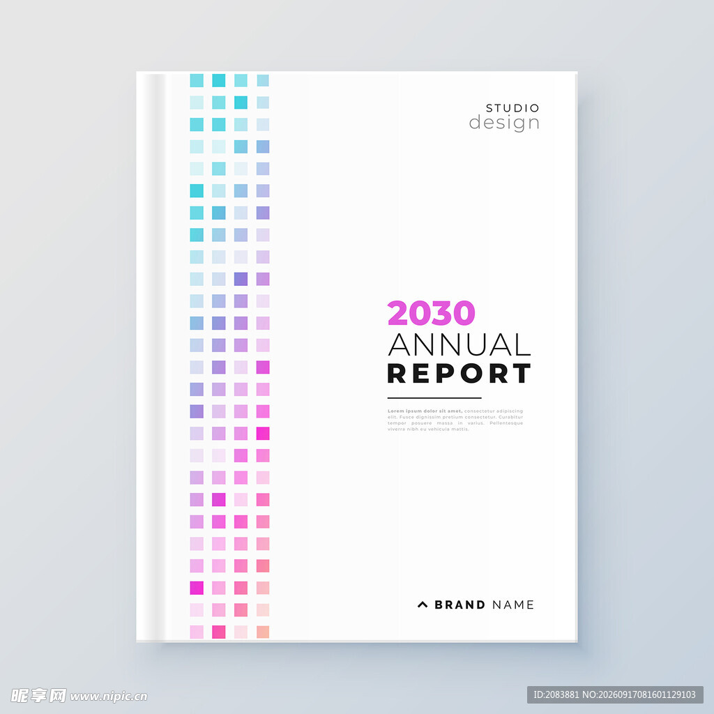 2030年度报告封面设计