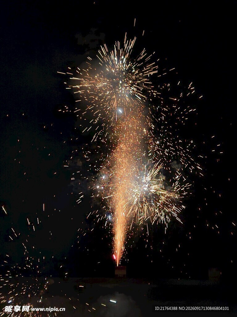 夜空中绚烂绽放的烟花