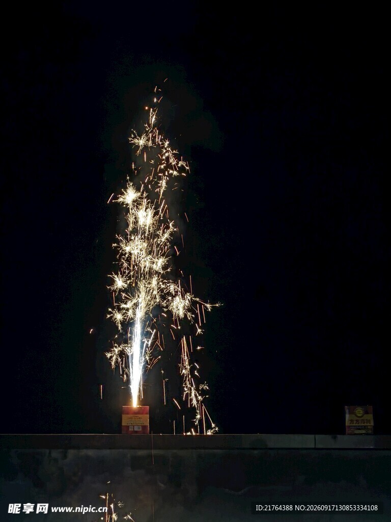 夜空中闪耀的绚烂烟花树