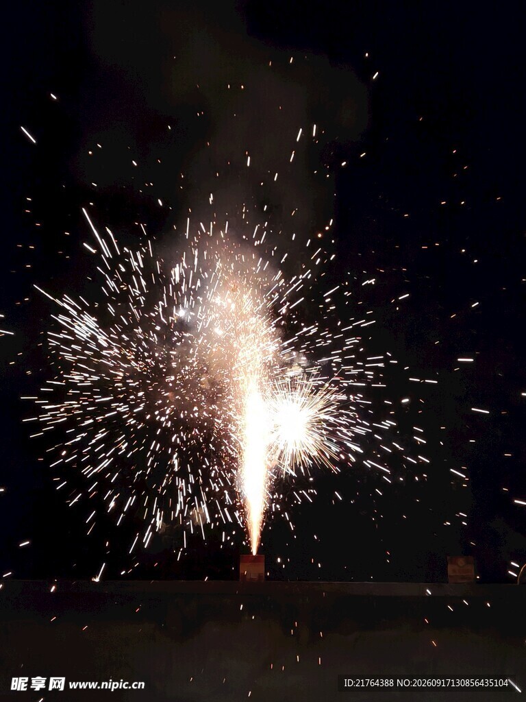 夜空中绚烂的烟花绽放